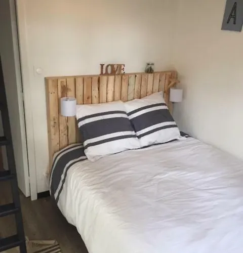 Maison A L\'Amelie Plage, 300 Metres De La Plage/Mer
